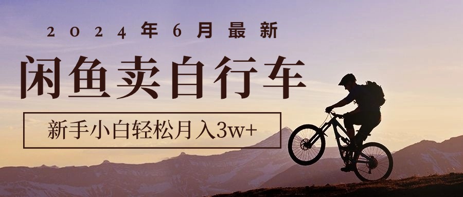 （10915期）2024年6月最新闲鱼卖自行车，新手小白轻松月入3w+项目-柠檬网创