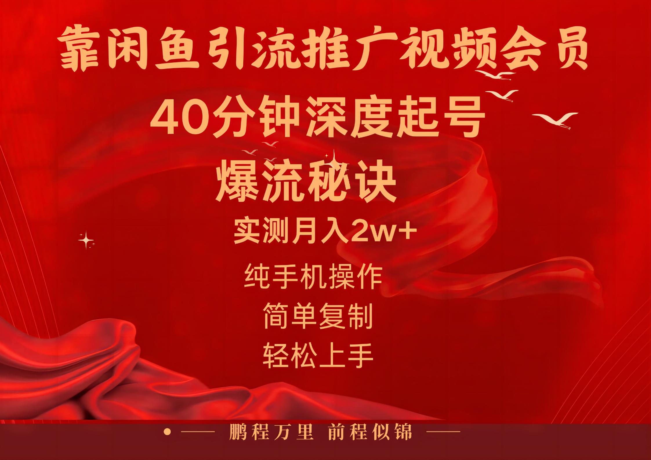 （10896期）闲鱼暴力引流推广视频会员，能做到日入2W+，操作简单-柠檬网创