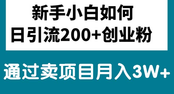 （10843期）新手小白日引流200+创业粉,通过卖项目月入3W+-柠檬网创