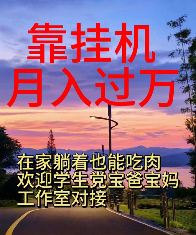 （10838期）靠挂机，日入1000+，躺着也能吃肉，适合宝爸宝妈学生党工作室，电脑手…-柠檬网创