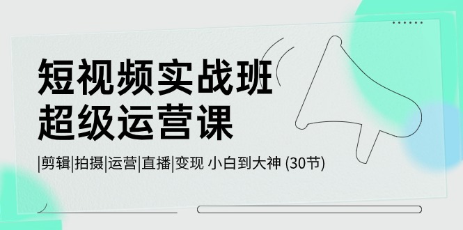 （10836期）短视频实战班-超级运营课，|剪辑|拍摄|运营|直播|变现 小白到大神 (30节)-柠檬网创