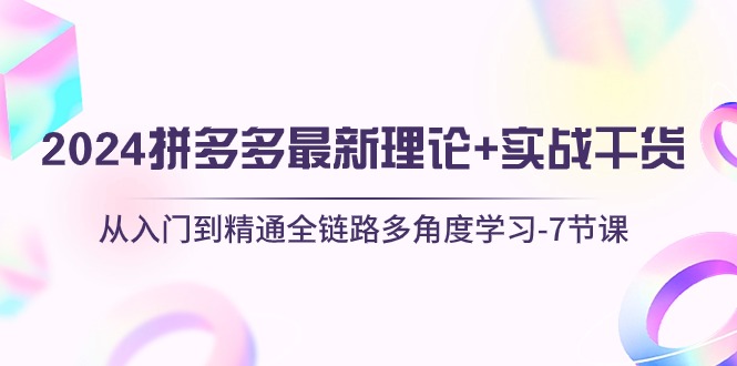 （10816期）2024拼多多 最新理论+实战干货，从入门到精通全链路多角度学习-7节课-柠檬网创