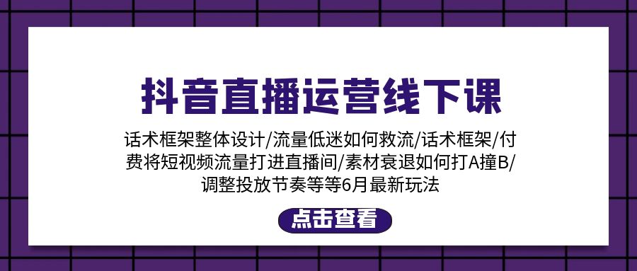 （11211期）抖音直播运营线下课：话术框架/付费流量直播间/素材A撞B/等6月新玩法-柠檬网创