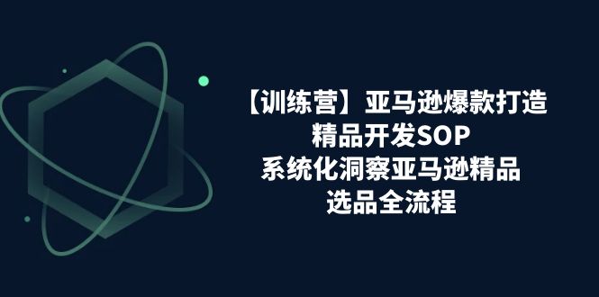 （11210期）【训练营】亚马逊爆款打造之精品开发SOP，系统化洞察亚马逊精品选品全流程-柠檬网创