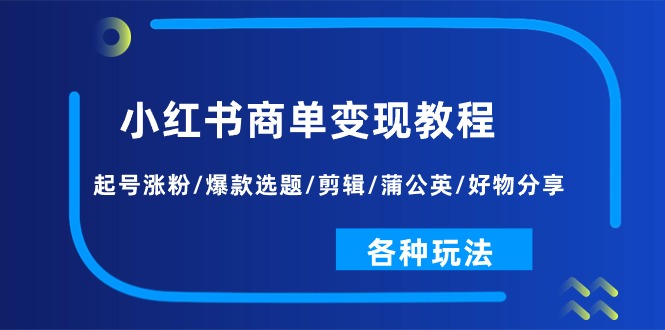 （11164期）小红书商单变现教程：起号涨粉/爆款选题/剪辑/蒲公英/好物分享/各种玩法-柠檬网创