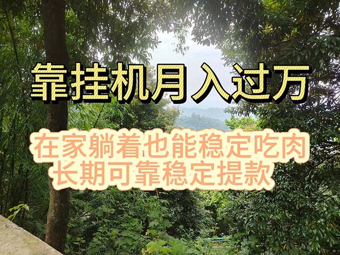 （11144期）挂机掘金，日入1000+，躺着也能吃肉，适合宝爸宝妈学生党工作室，电脑…-柠檬网创