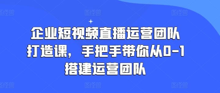 企业短视频直播运营团队打造课，手把手带你从0-1搭建运营团队-柠檬网创