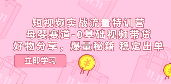 短视频实战流量特训营，母婴赛道-0基础带货，好物分享，爆量秘籍 稳定出单-柠檬网创