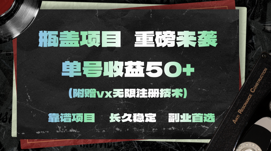 （11381期）一分钟一单，一单利润30+，适合小白操作-柠檬网创