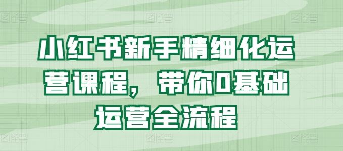 小红书新手精细化运营课程，带你0基础运营全流程-柠檬网创