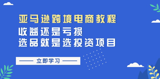 （11432期）亚马逊跨境电商教程：收益还是亏损！选品就是选投资项目-柠檬网创