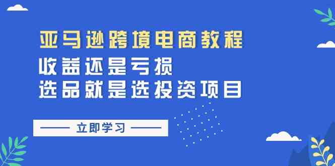 亚马逊跨境电商教程：收益还是亏损！选品就是选投资项目-柠檬网创