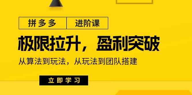 拼多多进阶课：极限拉升/盈利突破：从算法到玩法 从玩法到团队搭建（18节）-柠檬网创