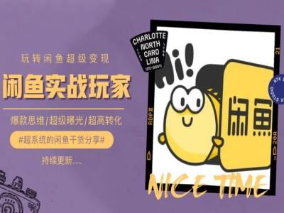手把手教你0到1系统玩转闲鱼变现，爆款思维/超级曝光/超高转化-柠檬网创