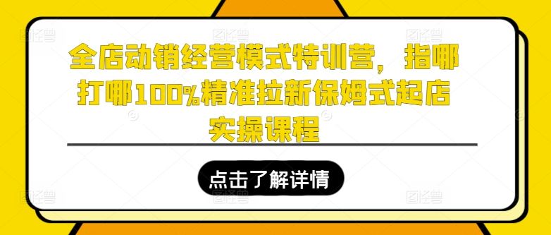 全店动销经营模式特训营，指哪打哪100%精准拉新保姆式起店实操课程-柠檬网创