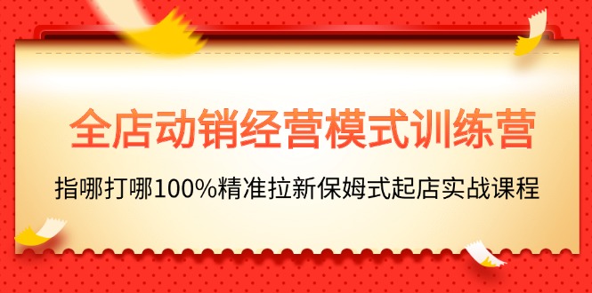（11460期）全店动销-经营模式训练营，指哪打哪100%精准拉新保姆式起店实战课程-柠檬网创