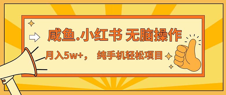 （11524期）2024最赚钱的项目，咸鱼，小红书无脑操作，每单利润500+，轻松月入5万+…-柠檬网创