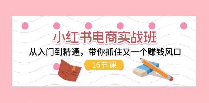 （11533期）小红书电商实战班，从入门到精通，带你抓住又一个赚钱风口（16节）-柠檬网创