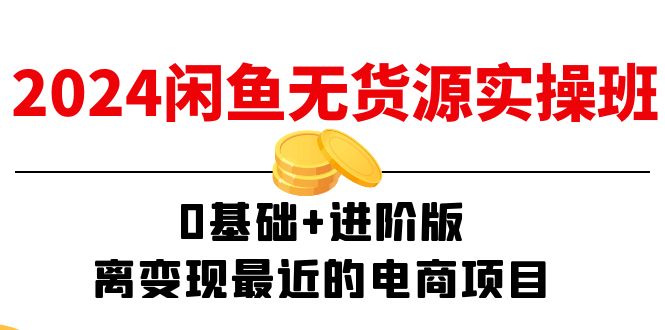 （11535期）2024闲鱼-无货源实操班：0基础+进阶版，离变现最近的电商项目（15节）-柠檬网创