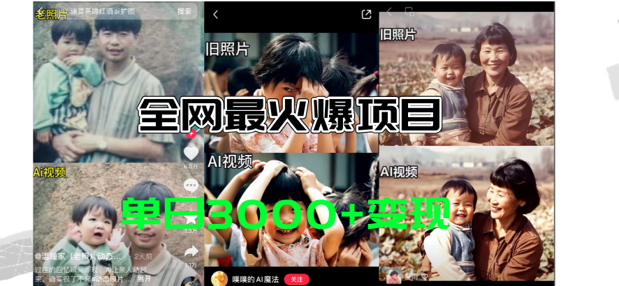 （11546期）全网爆火的AI让老照片动起来教程，蹭热点日赚3000+，内含免费工具一键…-柠檬网创