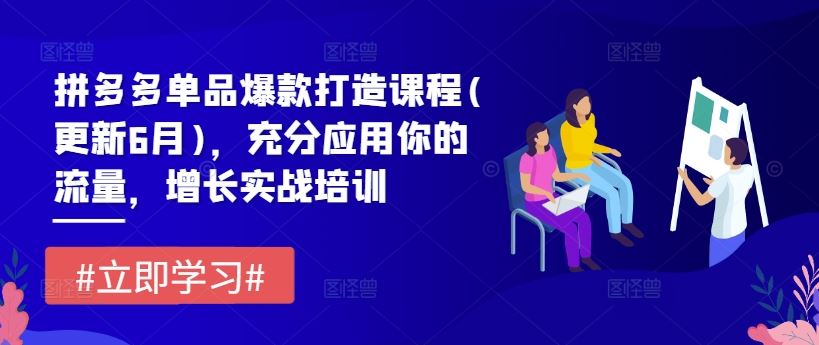 拼多多单品爆款打造课程(更新6月)，充分应用你的流量，增长实战培训-柠檬网创