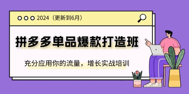 （11556期）2024拼多多-单品爆款打造班(更新6月)，充分应用你的流量，增长实战培训-柠檬网创