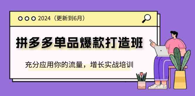2024拼多多单品爆款打造班，充分应用你的流量，增长实战培训(更新6月)-柠檬网创