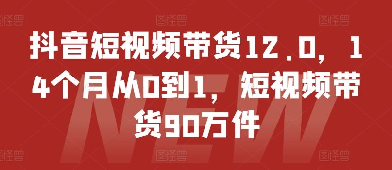抖音短视频带货12.0，14个月从0到1，短视频带货90万件-柠檬网创