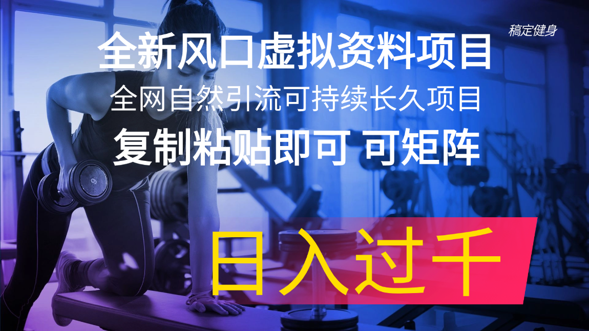 （11587期）全新风口虚拟资料项目 全网自然引流可持续长久项目 复制粘贴即可可矩阵…-柠檬网创