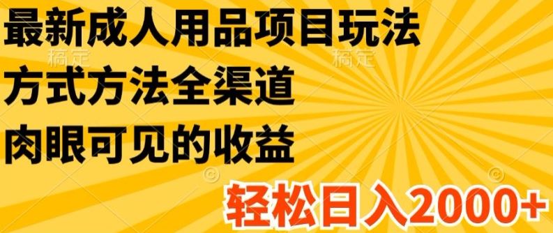 最新成人用品项目玩法，方式方法全渠道，轻松日入2K+【揭秘】-柠檬网创