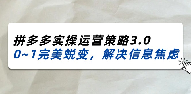 （11658期）2024_2025拼多多实操运营策略3.0，0~1完美蜕变，解决信息焦虑（38节）-柠檬网创