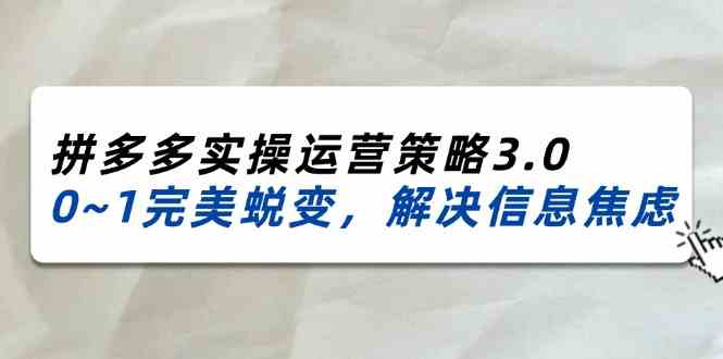 2024-2025拼多多实操运营策略3.0，0~1完美蜕变，解决信息焦虑（38节）-柠檬网创