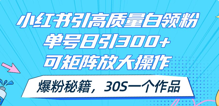 （11692期）小红书引高质量白领粉，单号日引300+，可放大操作，爆粉秘籍！30s一个作品-柠檬网创