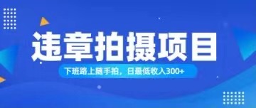 （11698期）随手拍也能赚钱？对的日入300+-柠檬网创