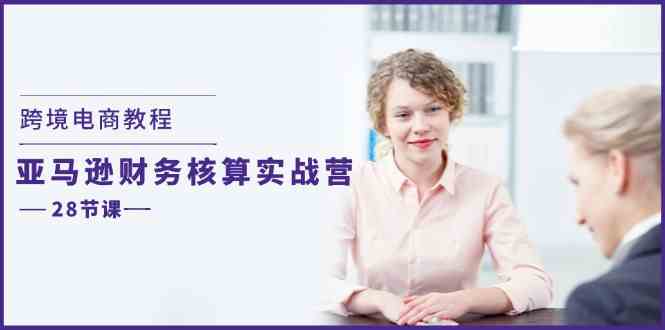 跨境电商教程：亚马逊财务核算实战营（28节课）-柠檬网创
