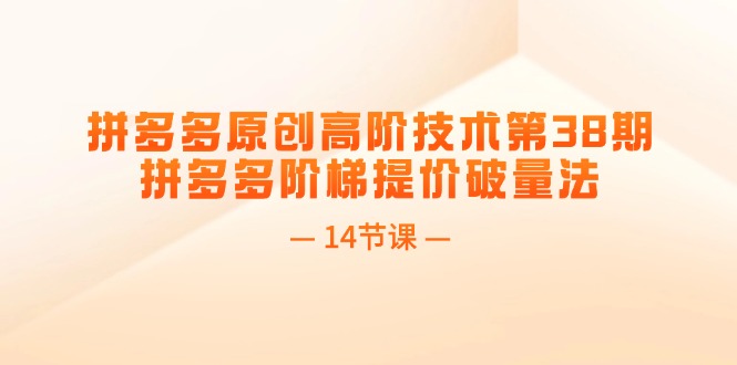 （11704期）拼多多原创高阶技术第38期，拼多多阶梯提价破量法（14节课）-柠檬网创