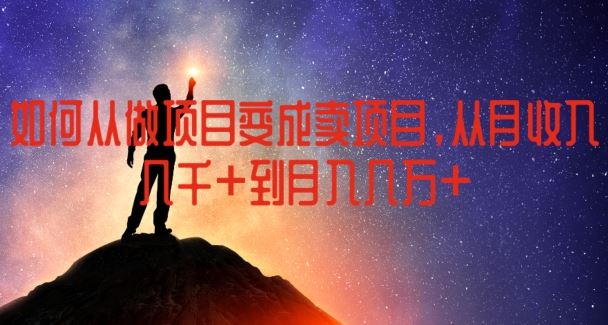 如何从做项目变成卖项目，从月收入几千到月入几万【揭秘】-柠檬网创