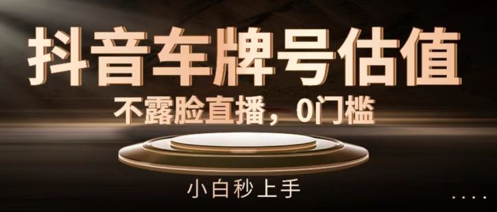 抖音车牌号估值，不露脸直播，0门槛，小白秒上手【揭秘】-柠檬网创