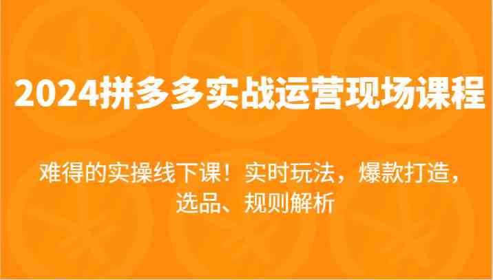 2024拼多多实战运营现场课，实时玩法，爆款打造，选品、规则解析，难得的实操线下课！-柠檬网创
