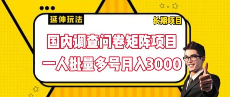 国内调查问卷矩阵项目，一人批量多号月入3000【揭秘】-柠檬网创