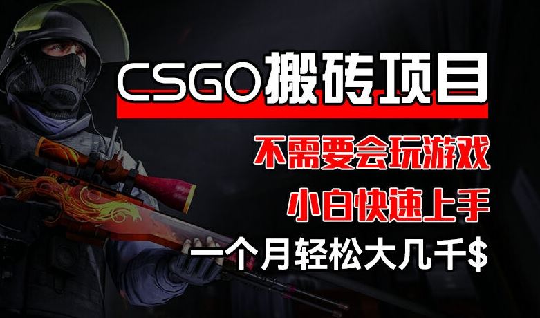 CSGO 装备搬砖项目，操作简单，不需要会玩游戏，小白也能快速上手，一个月轻松大几千【揭秘】-柠檬网创