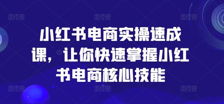 小红书电商实操速成课，让你快速掌握小红书电商核心技能-柠檬网创