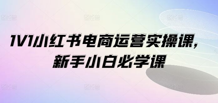 1V1小红书电商运营实操课，新手小白必学课-柠檬网创