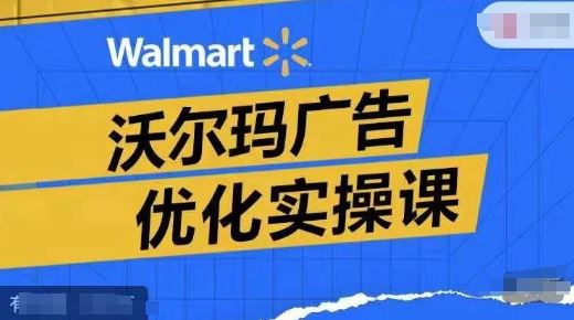 沃尔玛广告优化实操课，广告报告实操讲解，广告如何提高转化和ROAS等-柠檬网创