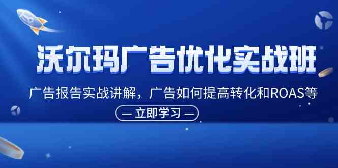 沃尔玛广告优化实战班，广告报告实战讲解，广告如何提高转化和ROAS等-柠檬网创