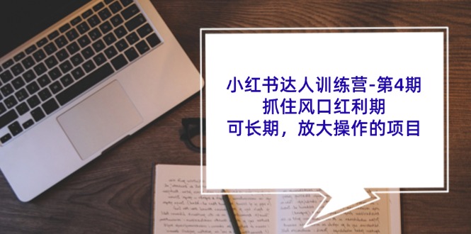 小红书达人训练营第4期：抓住风口红利期，可长期，放大操作的项目-柠檬网创