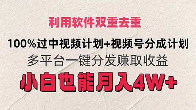 （11862期）利用软件双重去重，100%过中视频+视频号分成计划小白也可以月入4W+-柠檬网创