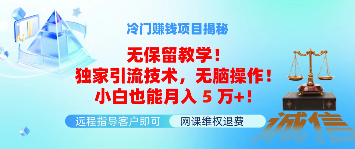 （11864期）冷门赚钱项目无保留教学！独家引流技术，无脑操作！小白也能月入5万+！-柠檬网创