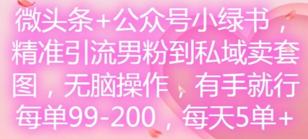 微头条+公众号小绿书，精准引流男粉到私域卖套图，无脑操作，有手就行，每单99-200，每天5单-柠檬网创
