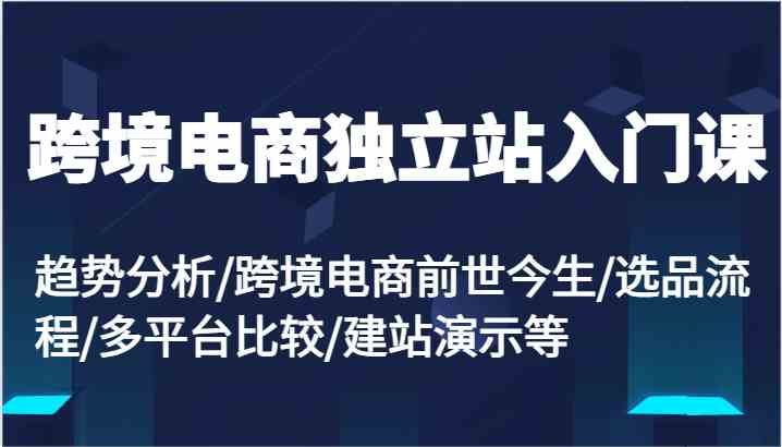 跨境电商独立站入门课：趋势分析/跨境电商前世今生/选品流程/多平台比较/建站演示等-柠檬网创